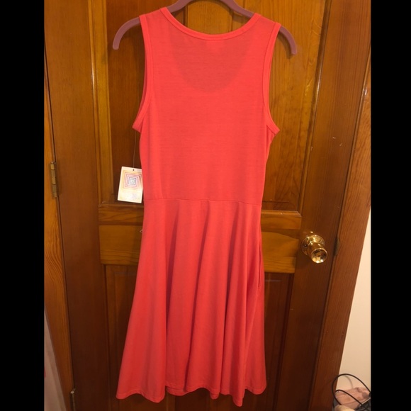 LuLaRoe Nicki Dress - Picture 4 of 5
